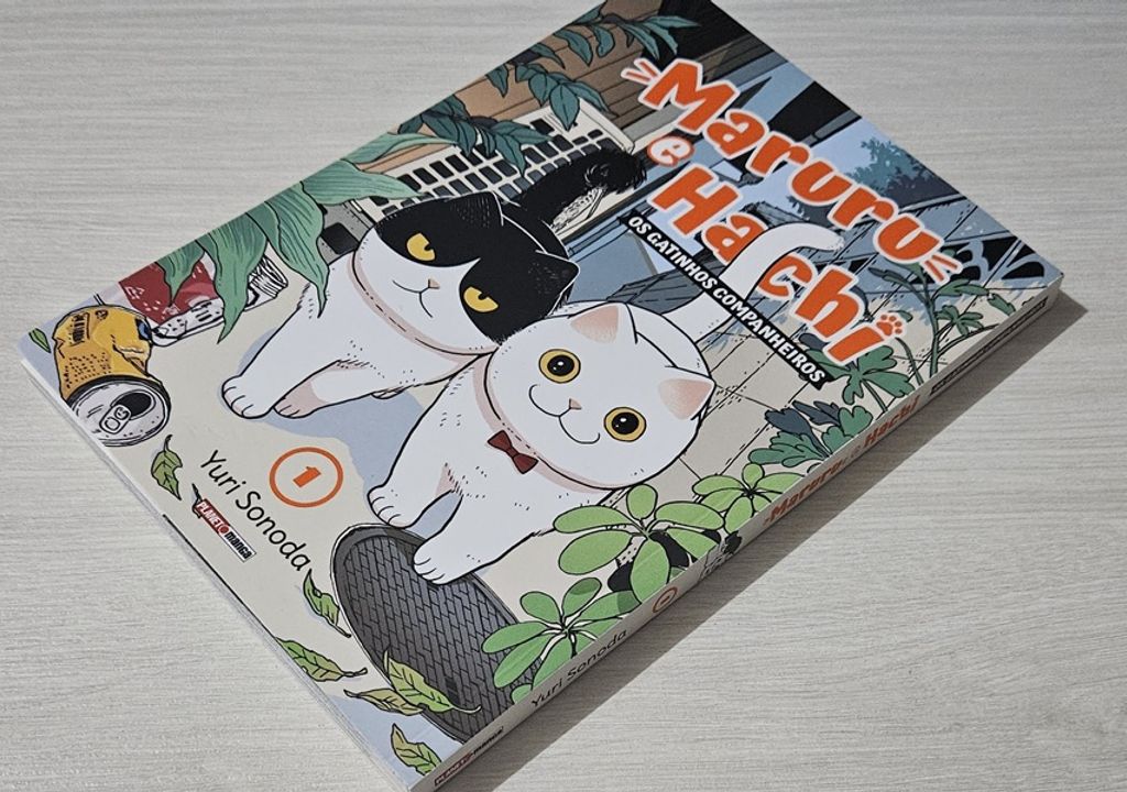 Imagem de destaque Maruru e Hachi: Vale a pena conhecer esses gatinhos companheiros?